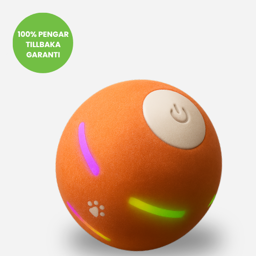 WaggyBall – En lycklig hund utan ansträngning!