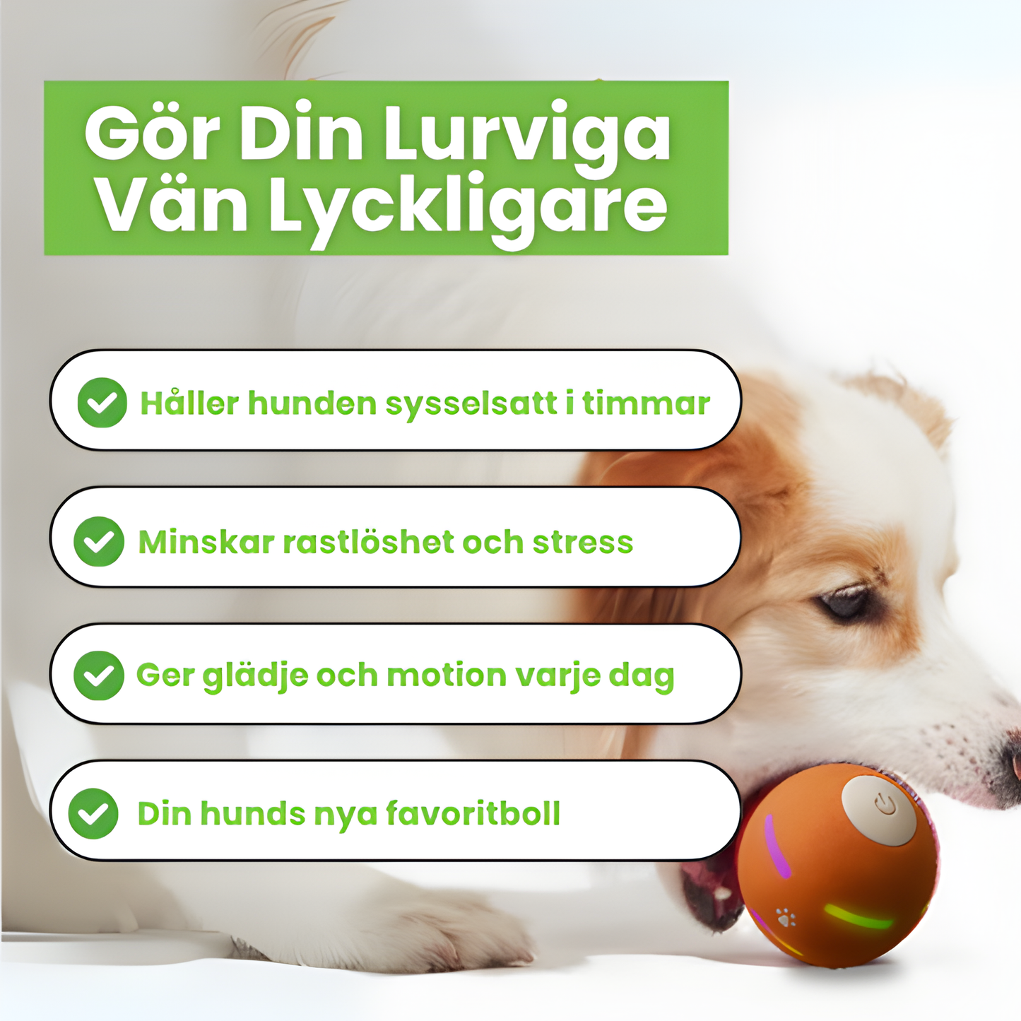 WaggyBall – En lycklig hund utan ansträngning!