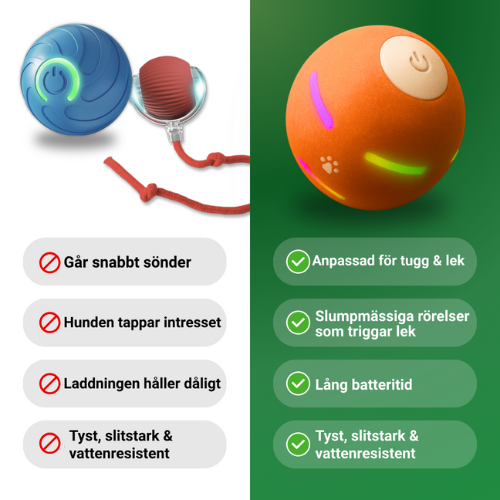 WaggyBall – En lycklig hund utan ansträngning!