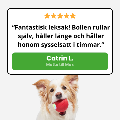 WaggyBall – En lycklig hund utan ansträngning!